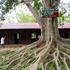 Picture_051