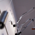 Scarry_s_oak__detail__5