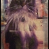 Boothecat