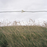 Wendypye_06