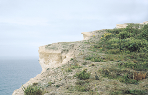 Wp_landscape04