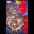 Copper_foo-dog_with_lanterns_simone_gad2_resized_to_1920
