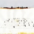 07curtismann