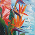 As_croppedparadisevogel3big