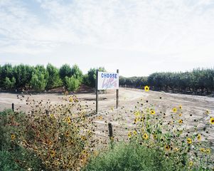 2007-434(810),Bill Mattick