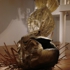 Philosophy-detail1