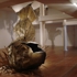 Philosophy-detail4