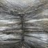 Belsay_quarry_gardens_series_black___goldas