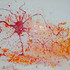 Ovum_0