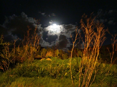 Fields_at_night_-_mgarr