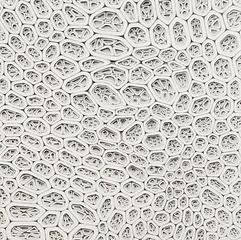 Untitled,Alexander Ross
