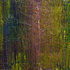 Seclusion---23cmx30cm