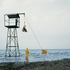 Oded_hirsch_halfman_lowres