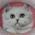 Colossal_cats