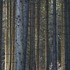Chrishallartworktrees