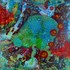 Aquascape_5_by_5