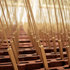Reeds04