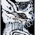The_white_wolf_-__48_inches_x_90_inches_-epoxy_resin_and_pigments_on_canvas_-_year_2007