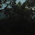 Munoz_mexico1