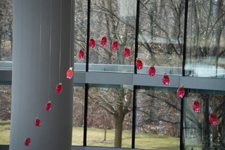 Indianapolis,Tony Feher