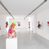 Divint__domestiche_installation