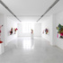 Divint__domestiche_installation_2