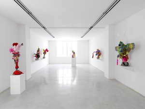 Divint__domestiche_installation_2