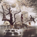 Surreal_dc
