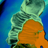 020810_18362__2__copy