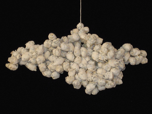 Nowicki_clusters