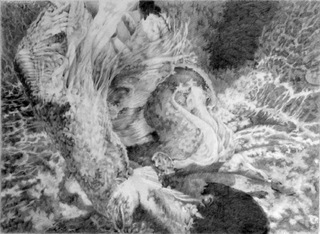 Pulchritudinous Vortex,Therese Conte