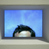 Andrewwitrak0030