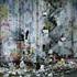 Agnsw_wang_qingsong_590