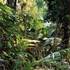 Struth_paradise_362_cee21d15ac