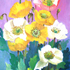 As_croppedyellow_and_white_poppies