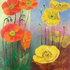 Double_poppies
