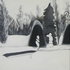 Botanical_garden_berlin