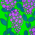 Lilacs_2002