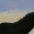 Horse__wales