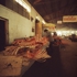 Bones_3970_11_r