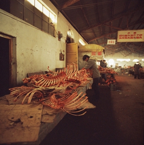 Bones_3970_11_r