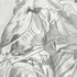 Robert_lee__reflection__1997__pencil_on_paper__9in_x_12in