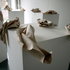 Cat_robertson_website_image