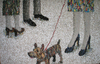 Gp_woman_barking_dog