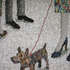 Gp_woman_barking_dog