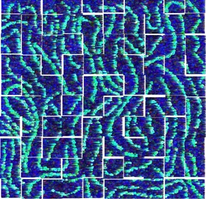 Untitled-1_copy