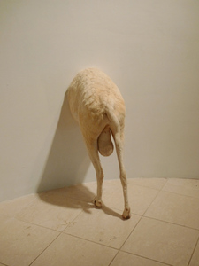 Tguntitled_goat_