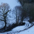 Snow_track_2
