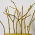 02_traugot_backyard