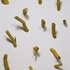 03_traugot_stubs